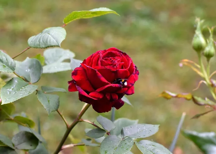 Apartamento Zur Eiche Potsdam